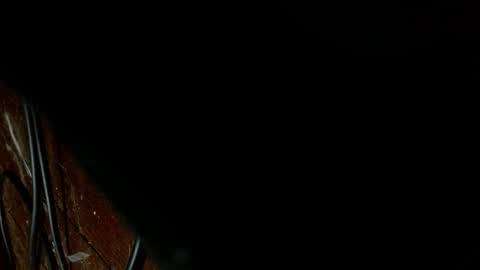 Dilly Dally online show from February 14, 7:25 am