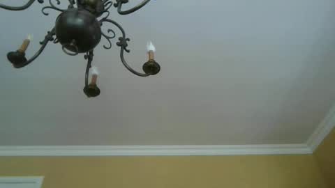 trekbeestje online show from April 18, 11:44 am