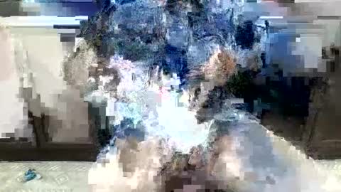 chuck trucker- skp online show from September 26, 3:10 pm