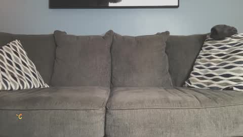 Snapshot of trystoph chatting on January 9, 5:34 am Treistoph online show from January 9, 5:34 am