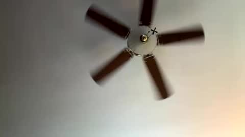 twerkandjerkk online show from April 16, 1:22 pm