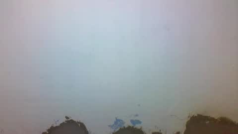 Tyler online show from March 1, 2:02 pm