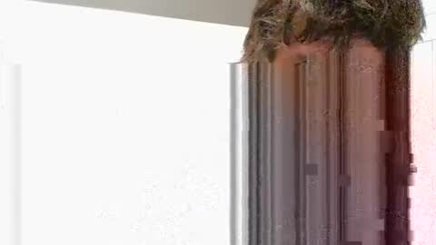 tylerweist727678265 online show from April 2, 9:39 am