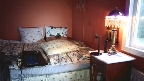 Dennis Nadarevic online show from February 9, 2:29 pm