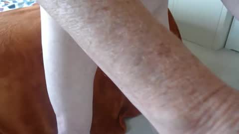 Uncle online show from April 21, 8:53 am