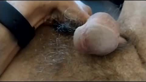 ur_beautyful_ online show from May 16, 11:41 am