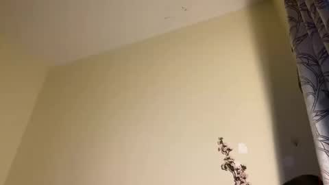 Dannie online show from November 9, 5:06 pm