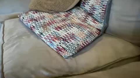 ustwo420 online show from December 18, 10:02 pm