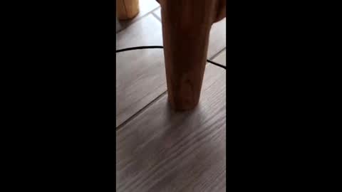 vanici74 online show from February 24, 4:15 pm