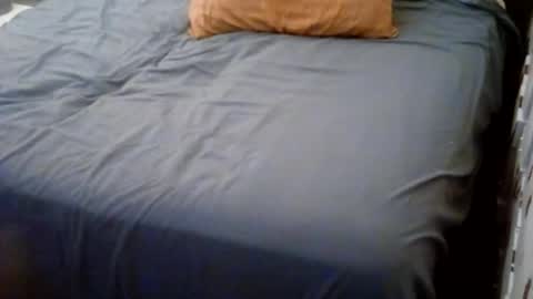 Usagi online show from March 17, 7:00 am