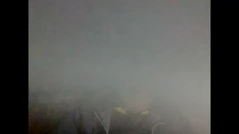 vic_manu online show from February 10, 4:47 pm