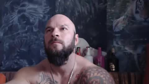 viking online show from November 30, 10:50 am