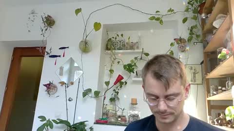 Viv online show from December 31, 12:57 pm