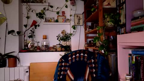 Viv online show from December 27, 8:18 pm