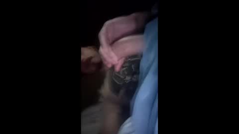 vulgorobson6 online show from April 16, 6:46 am