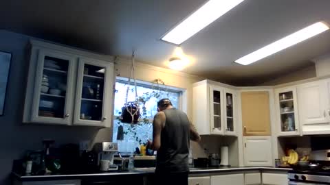 waterfire420 online show from February 14, 4:41 pm