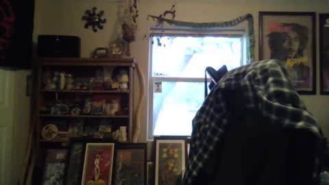 waterfire420 online show from January 4, 11:06 pm