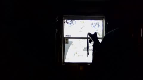 waterfire420 online show from January 5, 4:59 pm