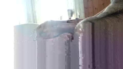 Deutsche Eichel online show from April 18, 11:00 am