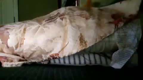 welldny online show from October 19, 6:11 pm