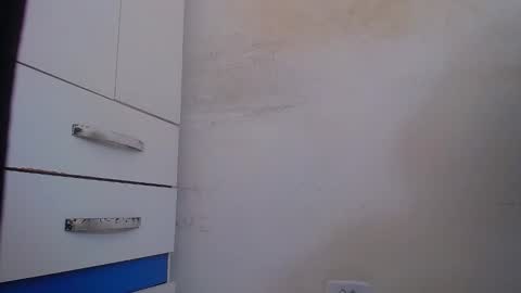 wellingtont online show from November 12, 11:16 am