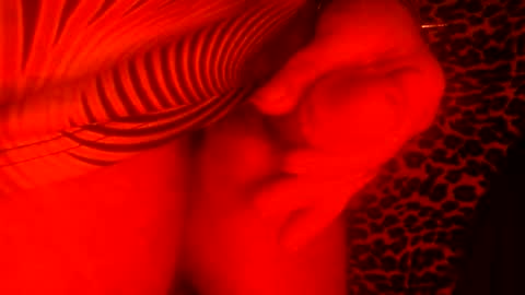 whor4mor online show from January 10, 5:45 pm