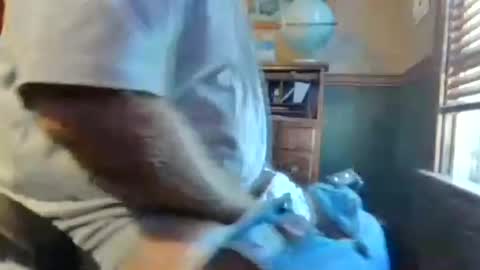whydog online show from June 14, 8:11 pm