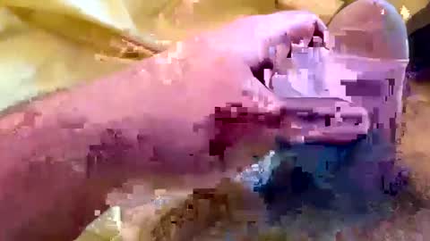 wifefantasizing online show from January 6, 1:41 pm