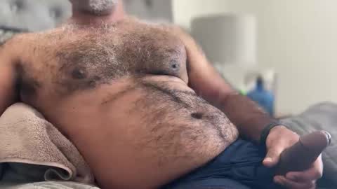 wildhungry online show from December 20, 9:06 pm