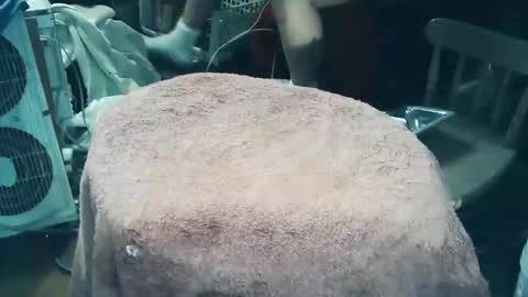 wildman6 online show from March 27, 7:48 pm