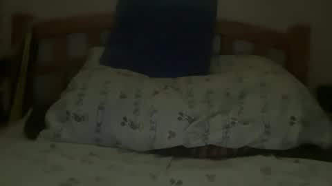 williamxxx23 online show from March 20, 1:48 pm