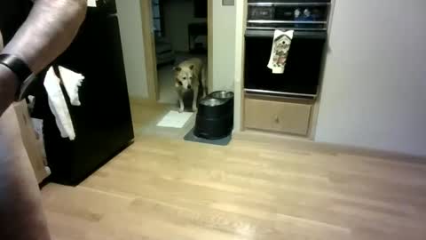 Willhedoher online show from October 11, 12:20 pm