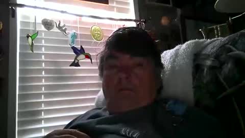wldlife online show from May 25, 7:42 pm