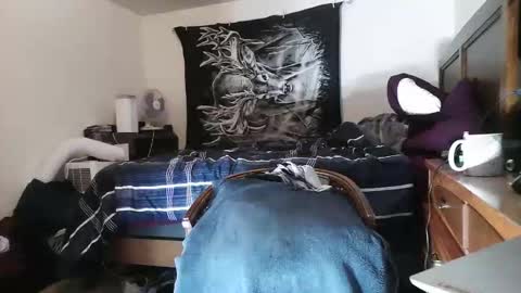 wolfman79 online show from February 5, 11:23 am