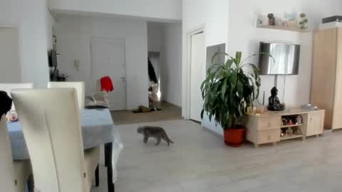 Wolfie online show from February 22, 10:16 am