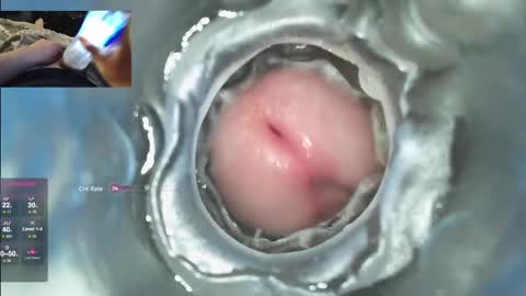 xoxowtf online show from December 7, 4:53 am