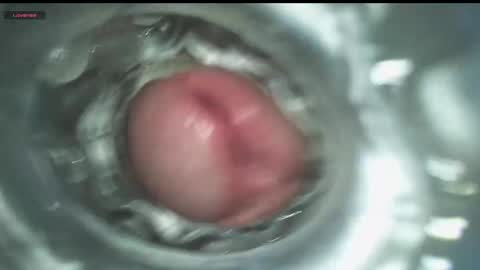 xoxowtf online show from December 11, 4:19 am