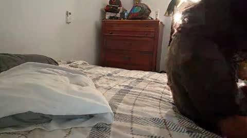 XxJasoneecxX online show from January 24, 4:05 am