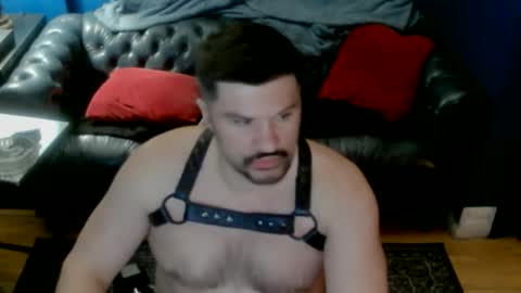 XXLCOLT27 online show from January 14, 11:04 am