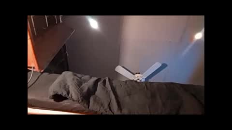 Xzbib online show from April 4, 3:58 am