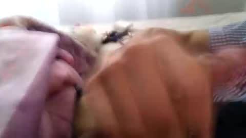 yack873 online show from March 3, 11:49 am