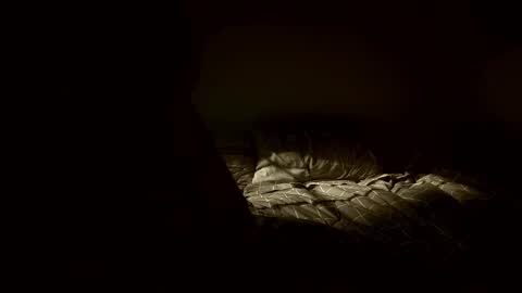 yaradeeyarama online show from February 8, 3:49 pm