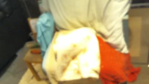 .     y e l l o w s n a k e s       . online show from January 11, 9:18 pm