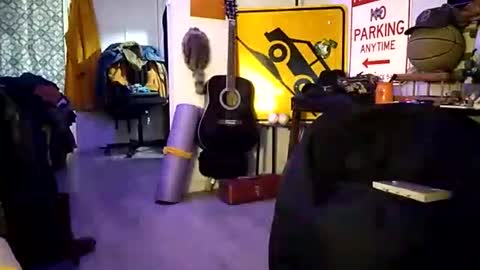 yn2238 online show from November 8, 2:48 am