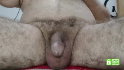 Pipo online show from February 3, 2:03 am