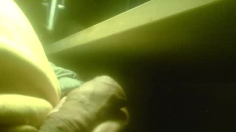 zaboski4 online show from March 23, 7:58 am