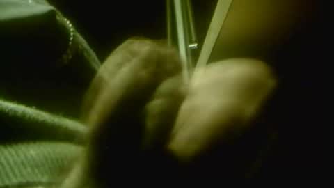 zaboski4 online show from December 18, 8:10 am