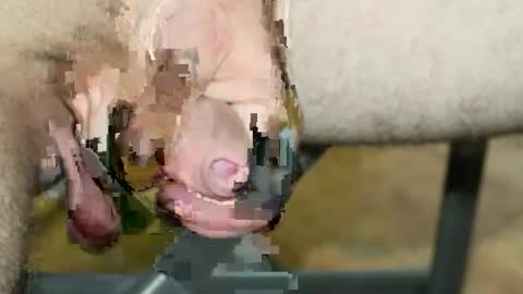 zaccocup5369 online show from January 14, 2:38 am