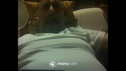 zeusdioss online show from July 8, 12:47 am