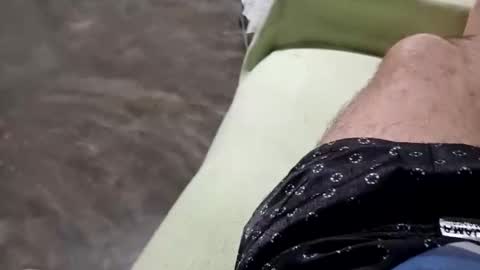 zitojose73 online show from March 1, 1:05 am